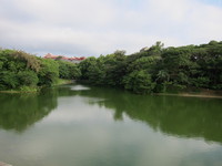 龍潭池から見える首里城
