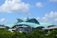 木と沖縄コンベンションセンター