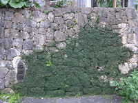 石敢當のある石垣2012