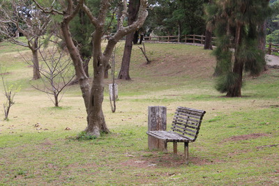 公園のベンチ2015